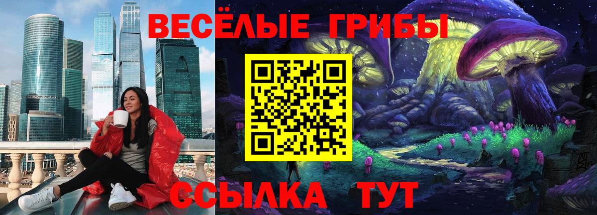 Галлюциногенные грибы MAGIC MUSHROOMS Губкин